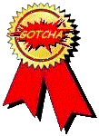 gotcha award