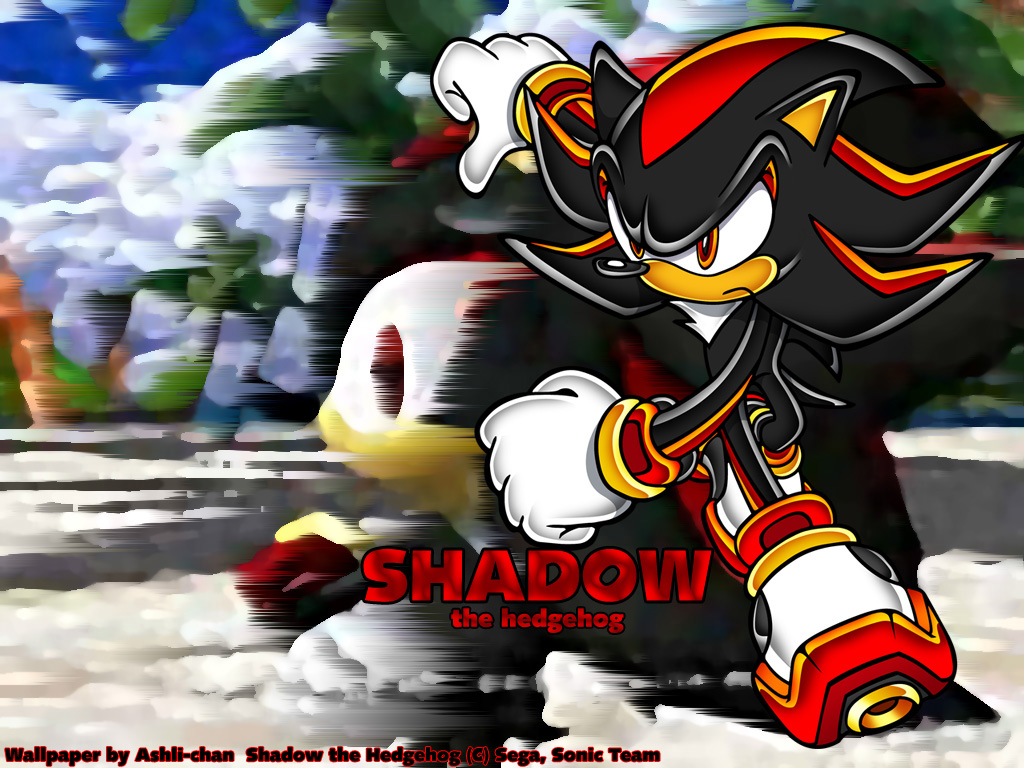 GameSpy: Shadow the Hedgehog - Page 1