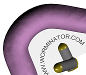 www.Worminator.com :: Official Worminator Website